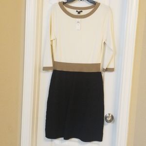 NWT sweater dress from Ann Taylor